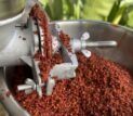 Processing achiote seeds